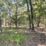 Property photo for land for sale in Lamar County Texas