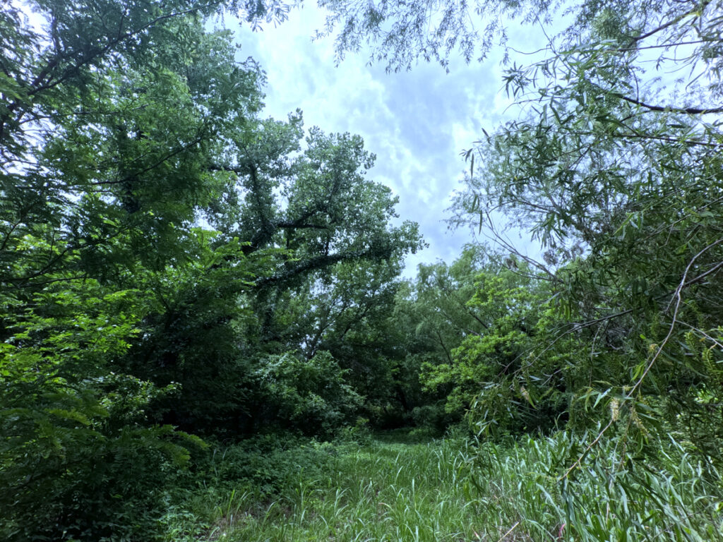 0d825b4d-ae09-445b-80d9-8bfa025cd37a.jpg