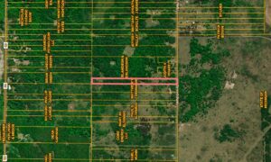 Property photo for land for sale in Otsego County Michigan