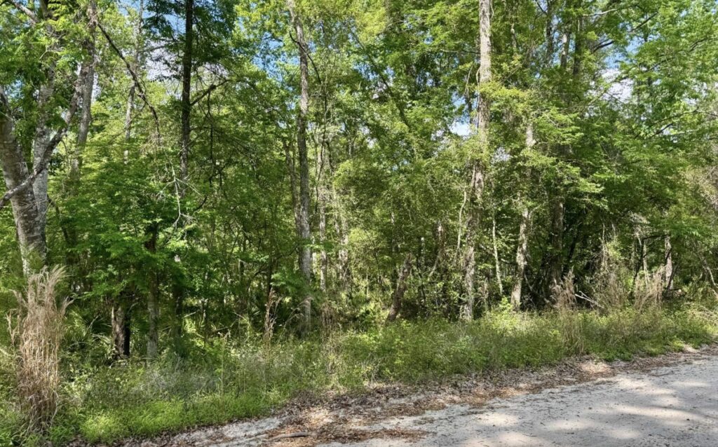 Property photo for land for sale in Suwannee County Florida