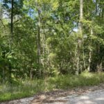 Property photo for land for sale in Suwannee County Florida