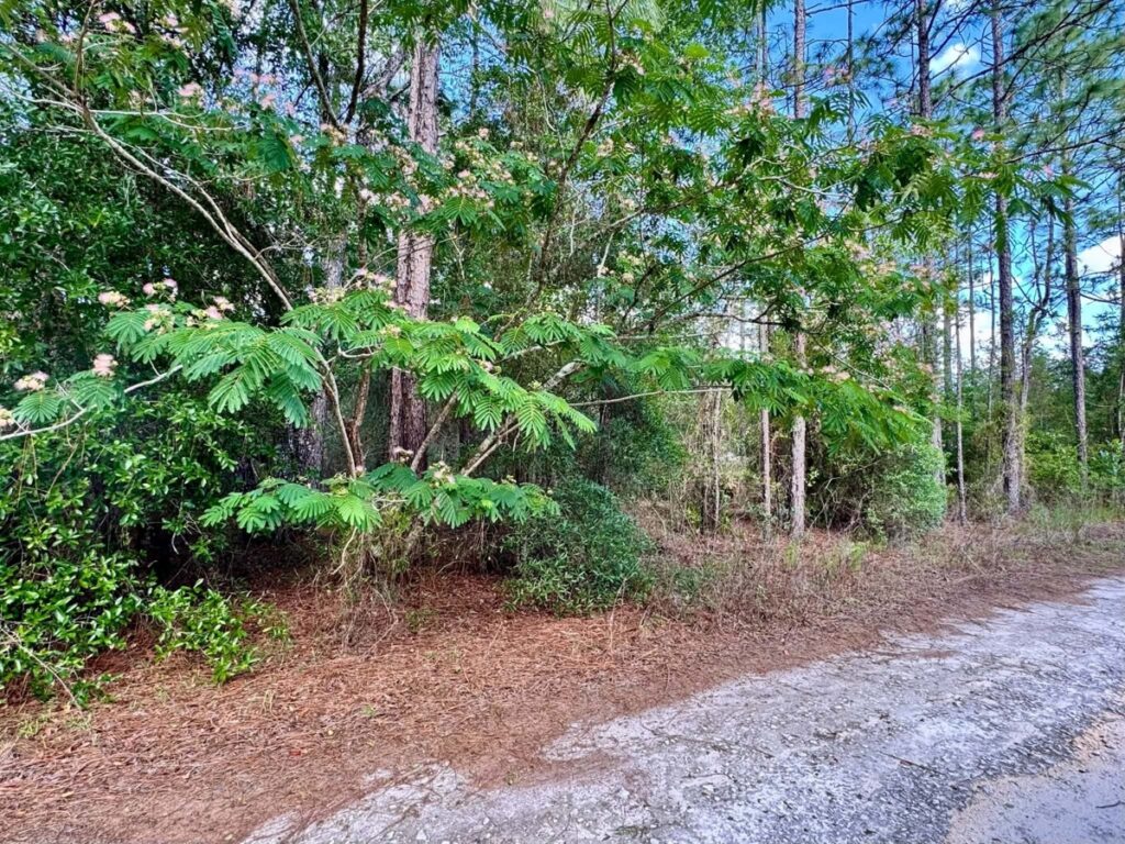 Property photo for land for sale in Levy County Florida