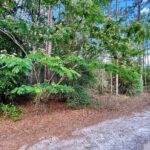 Property photo for land for sale in Levy County Florida