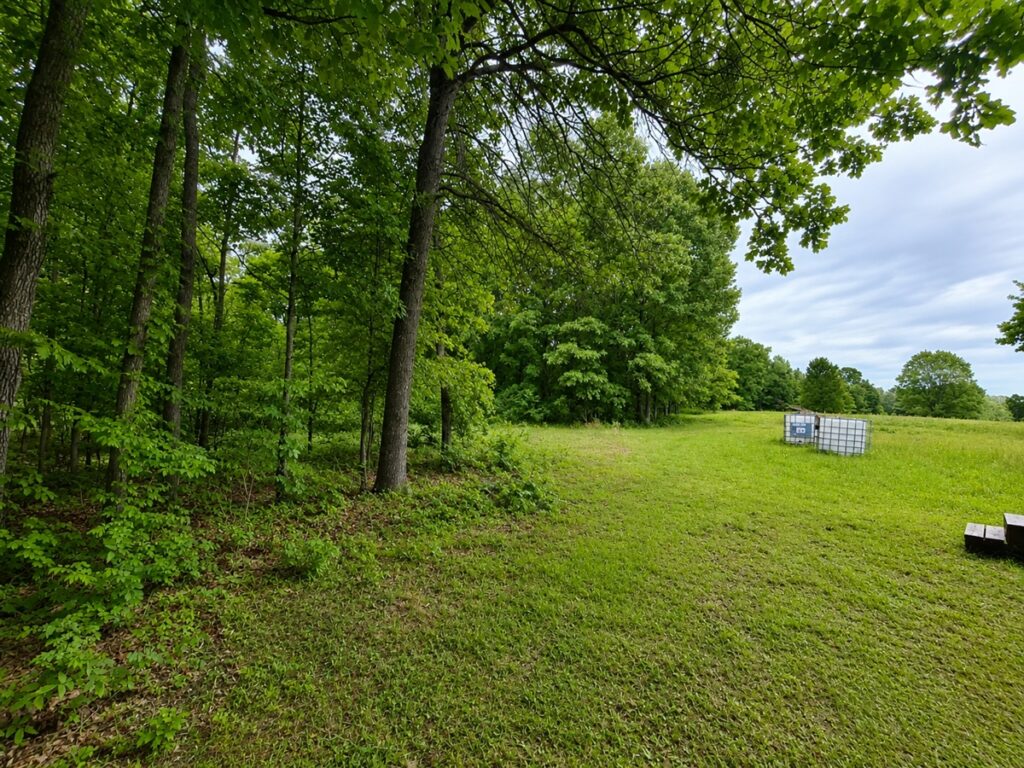 137462c9-f350-4c4b-98d6-43f349218de2.jpg
