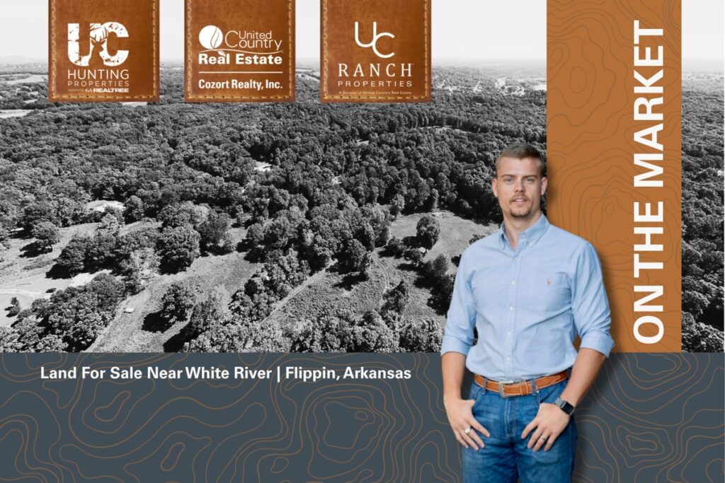 Property photo for land for sale in Marion County Arkansas