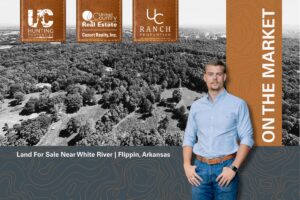 Property photo for land for sale in Marion County Arkansas