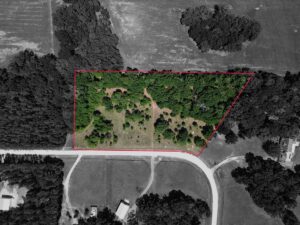 Property photo for land for sale in Gilchrist County Florida