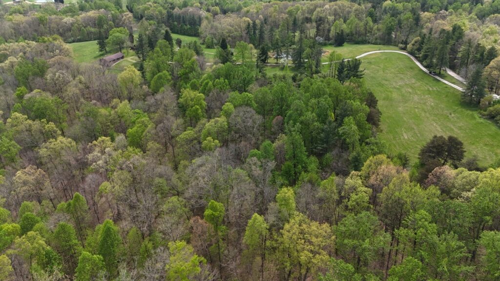 16a3817f-5e39-405c-bd34-ca81964e232e.jpg
