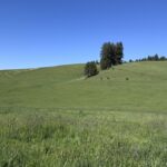 Property photo for land for sale in Idaho County Idaho