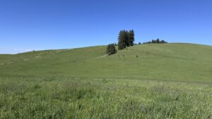 Property photo for land for sale in Idaho County Idaho