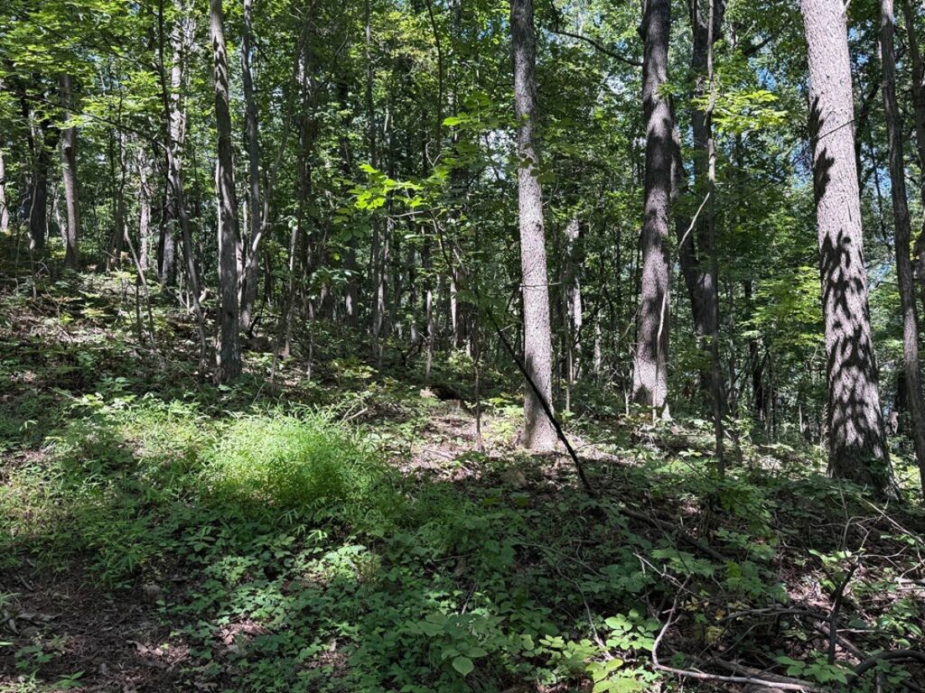 17705b44-e979-4352-9988-0f28306977ff.jpg
