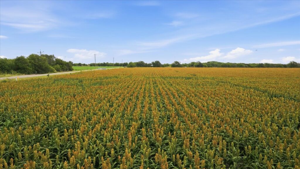 Property photo for land for sale in San Patricio County Texas