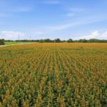 Property photo for land for sale in San Patricio County Texas
