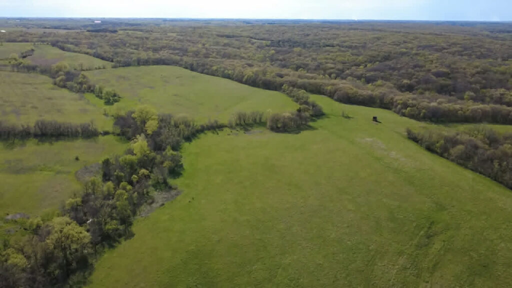 18e17d7e-4022-4b59-ba10-23530759a74d.jpg