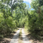 Property photo for land for sale in Suwannee County Florida