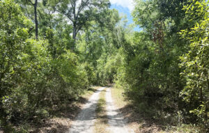 Property photo for land for sale in Suwannee County Florida