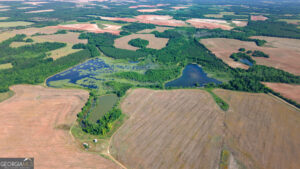 Property photo for land for sale in Calhoun County Georgia