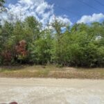 Property photo for land for sale in Suwannee County Florida