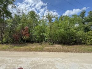 Property photo for land for sale in Suwannee County Florida