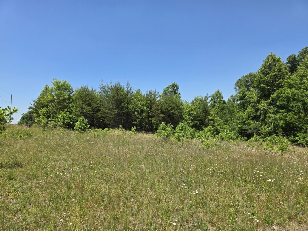 1ab6c032-22f7-4e06-aafa-20c875ab8cd0.jpg