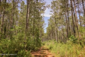 Property photo for land for sale in Amite County Mississippi