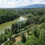 Property photo for land for sale in Albemarle County Virginia