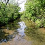Property photo for land for sale in Lawrence County Tennessee