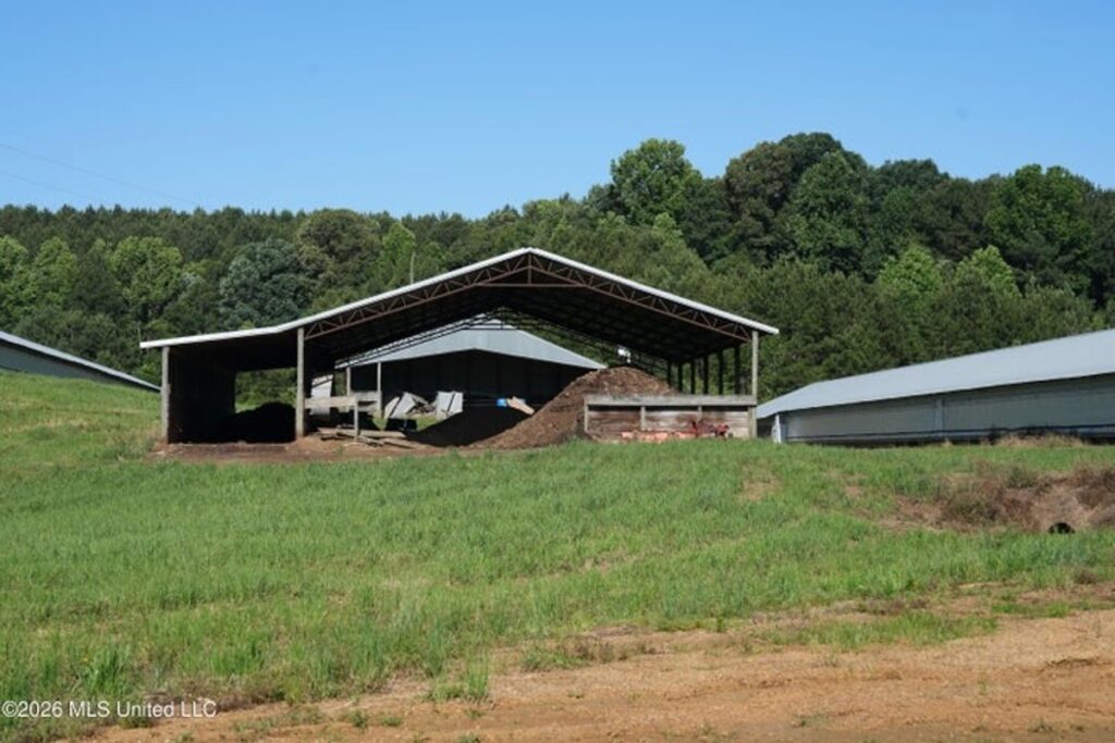 1d08f02a-8e4f-413f-b408-7545d6a3737c.jpg