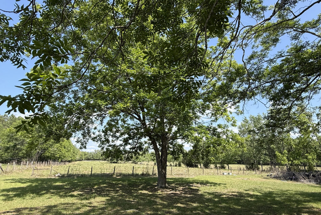 1dc0fd8e-ef07-4231-aa93-06bfb0b59765.jpg