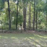 Property photo for land for sale in Suwannee County Florida