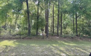 Property photo for land for sale in Suwannee County Florida