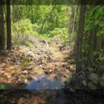 Property photo for land for sale in Pushmataha County Oklahoma
