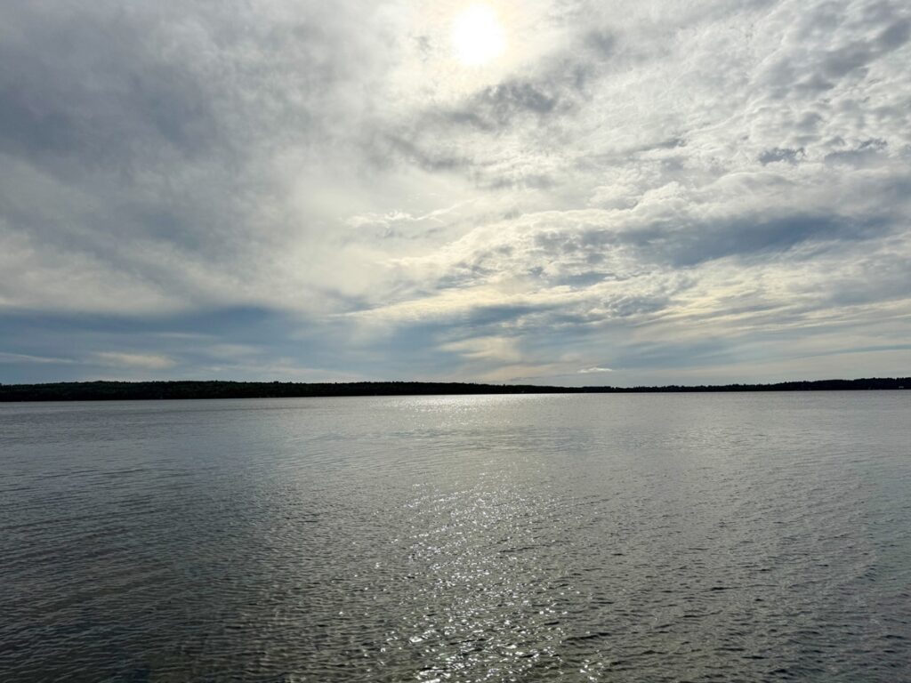 21645a7e-b441-48ae-82a4-d1ecc4704f8d.jpg