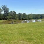 Property photo for land for sale in Pike County Mississippi