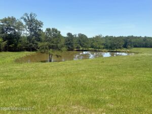 Property photo for land for sale in Pike County Mississippi