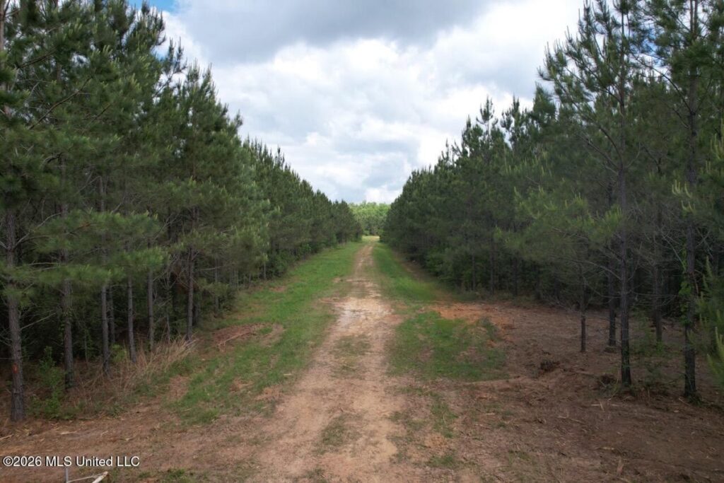 Property photo for land for sale in St. Helena County Louisiana