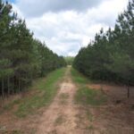Property photo for land for sale in St. Helena County Louisiana