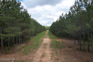 Property photo for land for sale in St. Helena County Louisiana