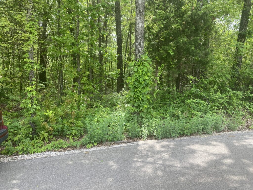 Property photo for land for sale in Izard County Arkansas