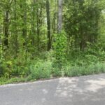 Property photo for land for sale in Izard County Arkansas