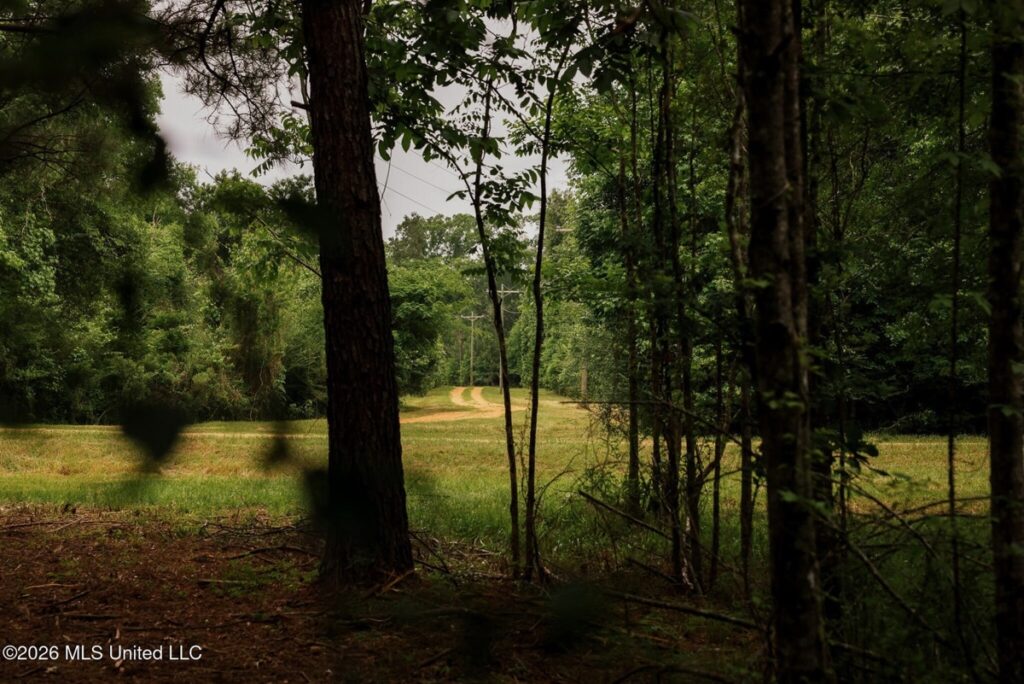 230a64d8-dd24-447b-ad7e-f90f7cf211e6.jpg