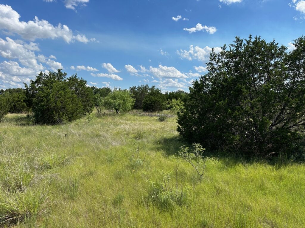 Property photo for land for sale in Brown County Texas