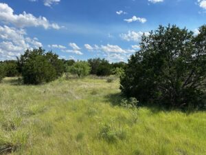 Property photo for land for sale in Brown County Texas
