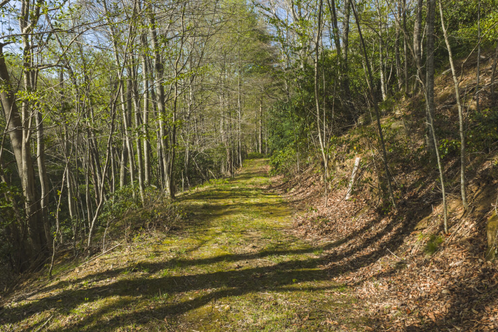 Property photo for land for sale in Floyd County Virginia