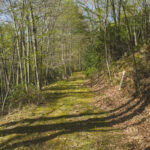 Property photo for land for sale in Floyd County Virginia