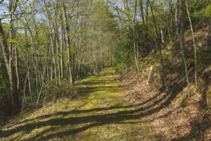 Property photo for land for sale in Floyd County Virginia