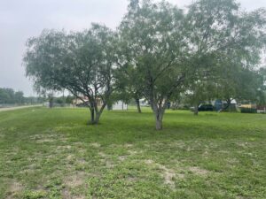 Property photo for land for sale in San Patricio County Texas
