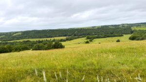Property photo for land for sale in Custer County Nebraska