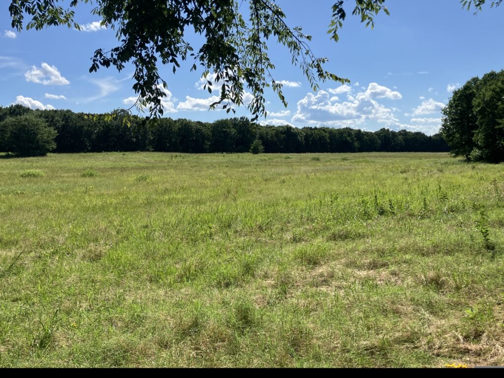 Property photo for land for sale in  County Oklahoma