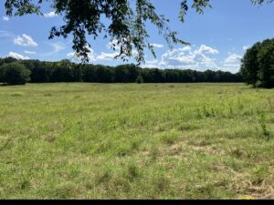 Property photo for land for sale in  County Oklahoma